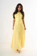 Plisse Skirt